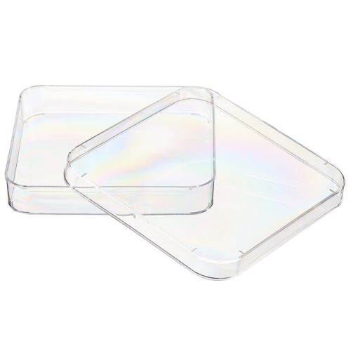 Nunc Square Petri Dish With Lid, 17 x 100 x 100 mm, Vented, 500/CS, 4021