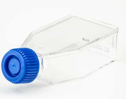 Tissue Culture Flask, Surface Treated, Sterile, Plug Seal Cap, 50 mL, T25, 200/CS, FB012936