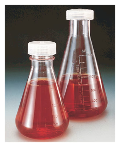 Flask Erlenmeyer Screw Closure PMP 125 mL, 24/CS, Thermo Scientific, 4109-0125