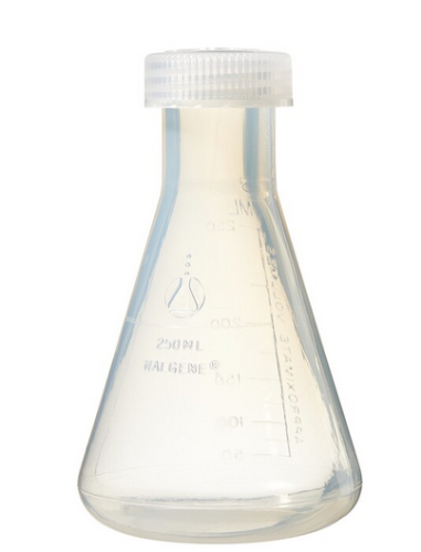 Flask Erlenmeyer Screw Closure PMP 250 mL, 12/CS, Thermo Scientific, 4109-0250