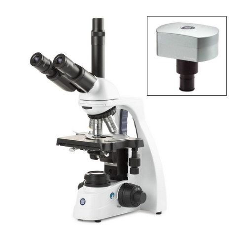 bScope Trinocular Microscope, HWF 10X/20 mm Eyepieces and Quintuple Nosepiece With E-Plan EPLI 4/10/S40/S100X Oil Infinity Corrected IOS Objectives, Globe Scientific, EBS-1153-EPLI-DC18
