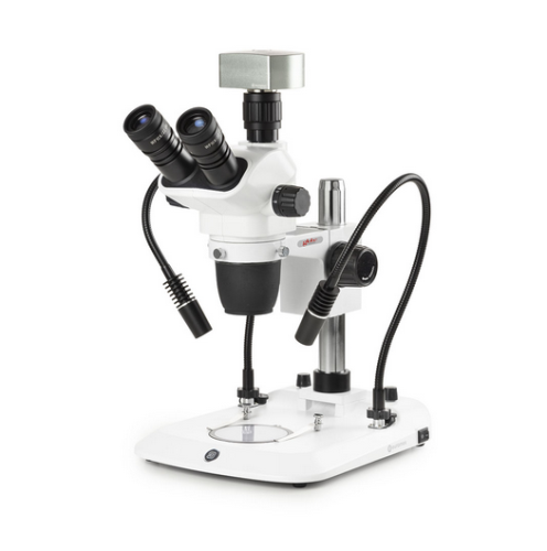 Trinocular Stereo Zoom Microscope NexiusZoom EVO, 0.65X To 5.5X Zoom Objective, Globe Scientific, ENZ-1703-PG-DC18