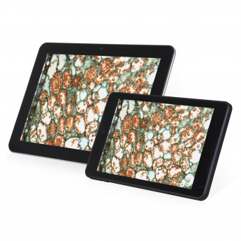 Moticam T2 Viewing Touchscreen, 10 in., Motic Instruments, Inc., 1100600100781