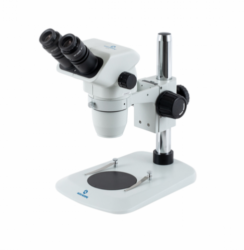 Bionocular Zoom Stereomicroscope with 10X Eyepieces/Pole Stand/Coarse Focus Mount, Accu-Scope, Inc., 3075-PS