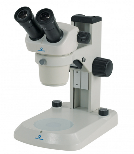 Dual Stereomicroscope 10X/20X E-LED Stand, Accu-Scope, Inc., 3072-12