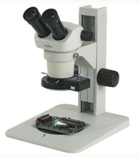 Dual Stereomicroscope 20X/40X Plain Stand, Accu-Scope, Inc., 3072-24-PFS
