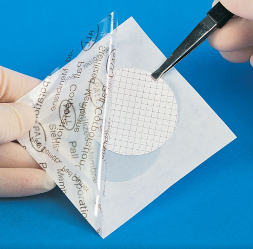 Filter Membrane, 0.45 um, Non-Sterile, GN-6 Metricel