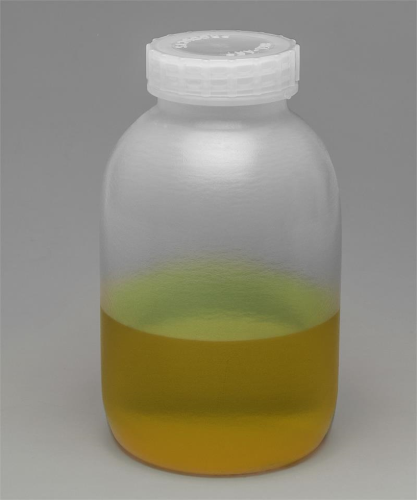 Bottle, Mason Jar, Autoclavable Polypropylene with Screw Cap and Removable Rubber Ring Seal 1/2 Gallon (2 L), Bel Art Products, F10915-0000
