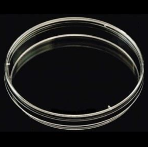 Petri Dish, Polystyrene, Sterile, Disposable, Stackable, 100 mm x 15 mm
