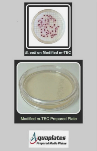 Modified m-TEC Prepared Media Plates, 12/PK, Aquaplates LLC