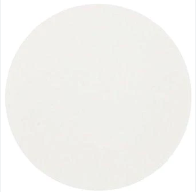 Binderless Glass Microfiber Filter Media, Grade F Cut 2.1 cm Diameter, 100/PK, I.W. Tremont, F2100