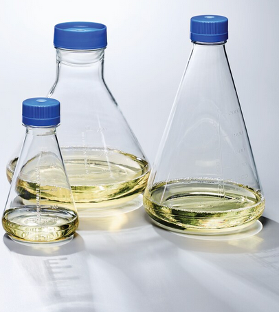 Flask Erlenmeyer Graduated PC 250 mL, 12/CS, Thermo Scientific, 4103-0250