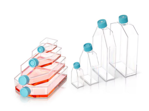 BioLite Cell Culture Treated Flasks 75 mL, 40/CS, Thermo Scientific, 130191