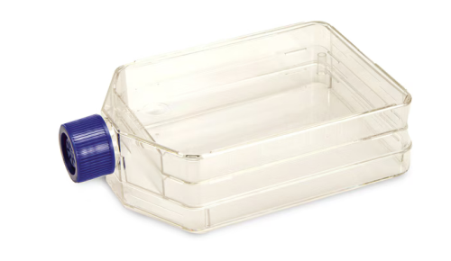 Nunc Non-treated T175 EasYFlask, Filter Cap, 30/CS, Thermo Scientific, 159926