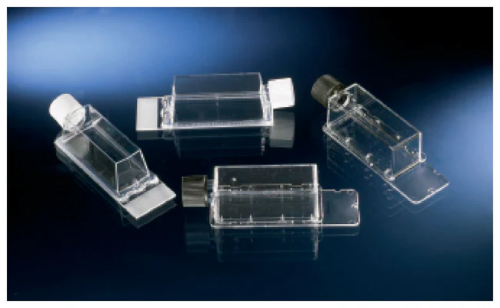 Nunc Lab-Tek Flask on Slide, 50/CS, Thermo Scientific, 170920