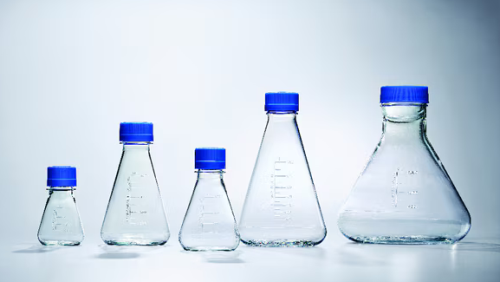 Nalgene Single-Use PETG Erlenmeyer Flasks with Plain Bottom: Sterile 500 mL, 12/CS, Thermo Scientific, 4116-0500