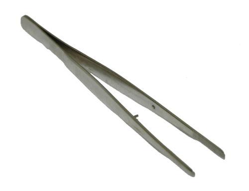 Forceps, 6 in., Walter Stern Inc.