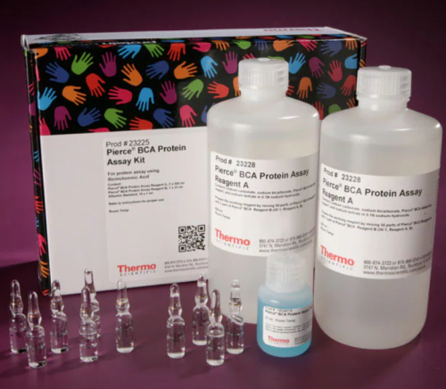 Pierce BCA Protein Assay Kit, Enough for 500 Tube Assays or 5000 Microplate Assays, Thermo Scientific, 23225