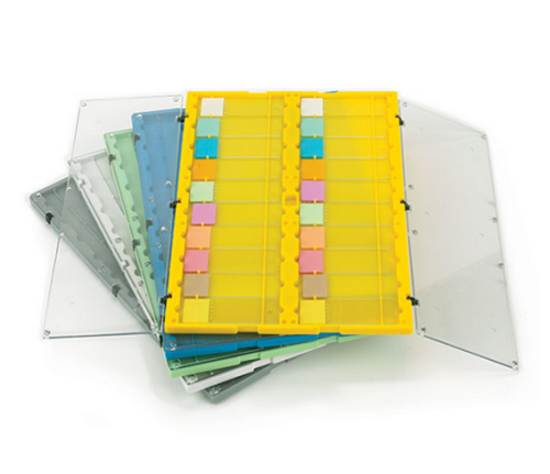 Slide File Folder with Clear Hinged Lids, 20-Place, Blue, 12/CS, Globe Scientific, 513029B