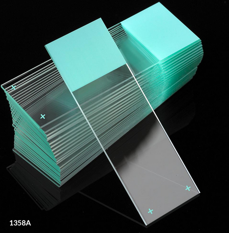 Microscope Slides, Diamond White Glass, 25 x 75 mm, Charged, 90 Degree Ground Edges, Aqua Frosted, 72/PK, Globe Scientific, 1358A-72