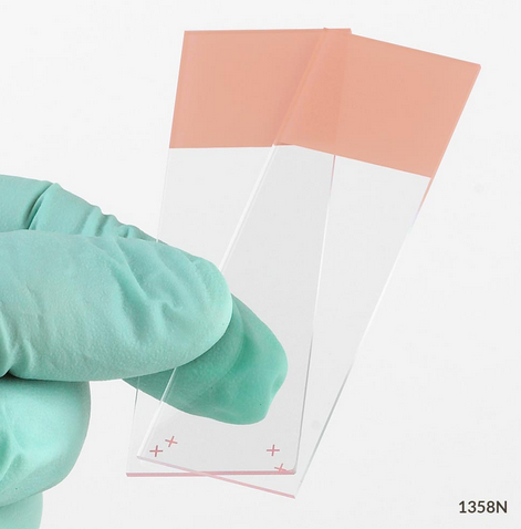 Microscope Slides, Diamond White Glass, 25 x 75 mm, Charged, 90 Degree Ground Edges, Orange Frosted, 1440/CS (20 PKs of 72), Globe Scientific, 1358N