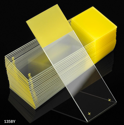 Microscope Slides, Diamond White Glass, 25 x 75 mm, Charged, 90 Degree Ground Edges, Yellow Frosted, 1440/CS (20 PKs of 72), Globe Scientific, 1358Y
