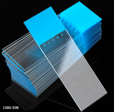 Microscope Slides, Diamond White Glass, 25 x 75 mm, 90 Degree Ground Edges, BLUE Frosted, 1440/CS (20 PKs of 72), Globe Scientific, 1380-50B