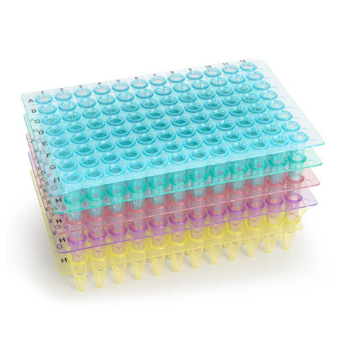 0.2 mL 96-Well PCR Plate, No Skirt, Flat Top, Assorted Colors (Blue, Red, Green, Yellow and Violet), 100/CS, Globe Scientific, PCR-NS-02-RW