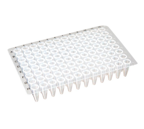 0.2 mL 96-Well PCR Plate, No Skirt, Flat Top, Clear, 100/CS, Globe Scientific, PCR-NS-02