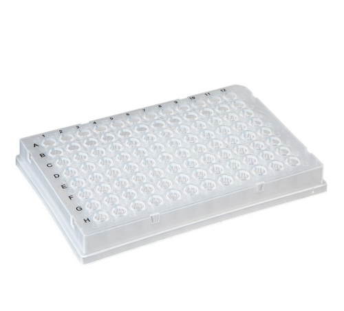 0.2 mL 96-Well PCR Plate, Full Skirt, Clear, 100/CS, Globe Scientific, PCR-FS-02