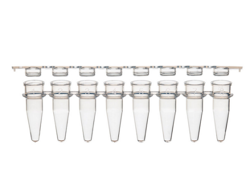 0.2 mL 8-Strip Tubes, with Separate 8-Strip Clear Flat Caps, Natural, 1250/CS, Globe Scientific, PCR-STR-02F
