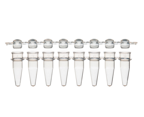 0.2 mL 8-Strip Tubes, with Separate 8-Strip clear Dome caps, Natural, 1250/CS, Globe Scientific, PCR-STR-02D