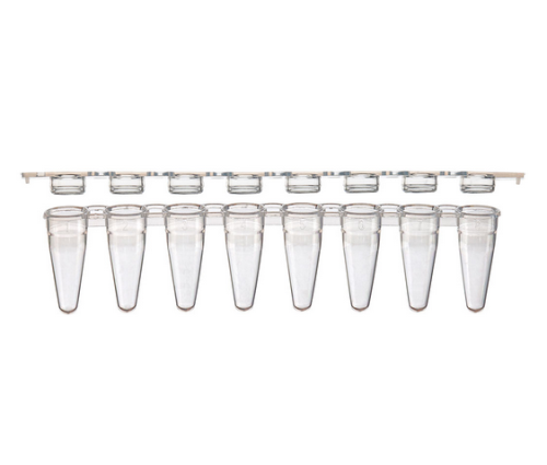 0.1 mL 8-Strip Tubes, Low Profile, with Separate 8-Strip Clear Flat Caps, Natural, 1250/CS, Globe Scientific, PCR-STR-01F