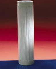 Final Filter, 0.20 Micron, For 10 in. Economy Model Filter Holder