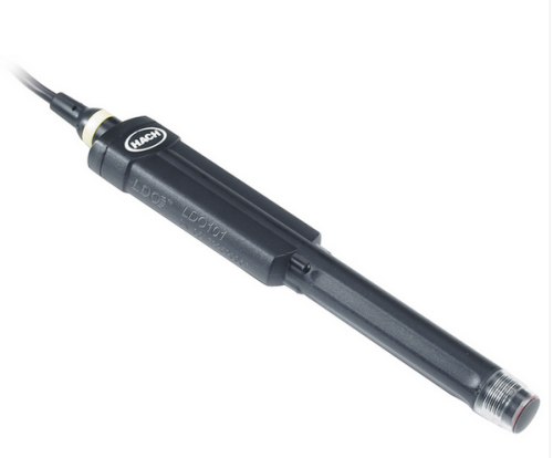 IntelliCAL LDO101 Laboratory Luminescent/Optical Dissolved Oxygen (DO) Sensor, 3 m Cable, HACH LDO10103