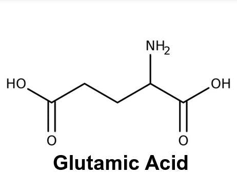 Glutamic Acid