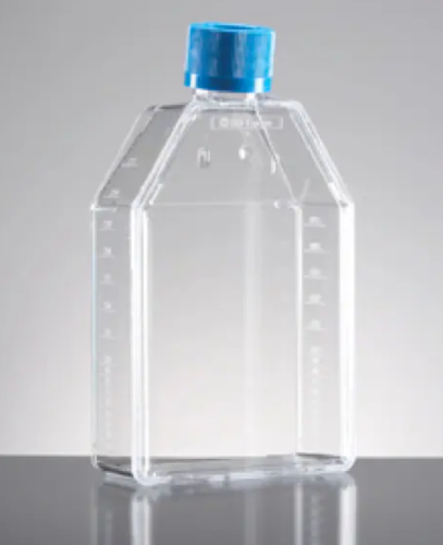 BioCoat Cell Culture Flask, Collagen I Coated Rectangular Canted Neck with Vented Cap, 600 mL, T150, 5/CS, Corning, 354486