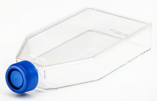 Tissue Culture Flask, Surface Treated, Sterile, Plug Seal Cap, 600 mL, T225, 40/CS, FB012940