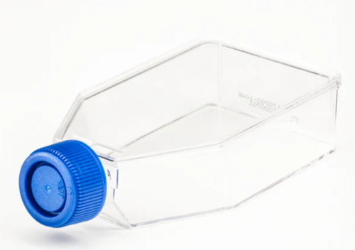Tissue Culture Flask, Surface Treated, Sterile, Plug Seal Cap, 350 mL, T75, 10/CS, FB012938