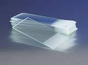 Micro Slides, 25 x75 x 1 mm, 144/GR Frosted 1-End [REPRESENTATIVE IMAGE]