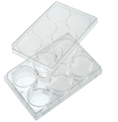 Tissue Culture Treated Multiple Well Plates, 6-Well, Polystryene, STERILE, 50/CS, Celltreat, 229105