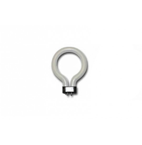 Ring Fluorescent Tube DayLight (DL.8W 6500 Degrees K), Meiji Techno America, MA305/05