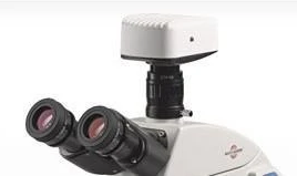 0.50X C-Mount Camera Adapter for 1/2 in. Chip Sensors, Adjustable Focus