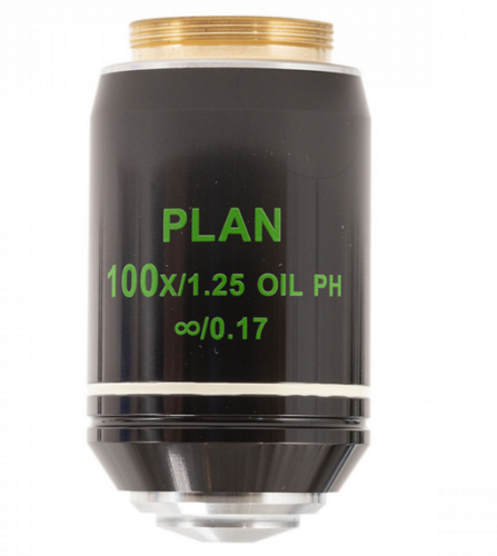 100xR Oil Infinity Plan Phase Objective, Accu-Scope, 00-3176-PH