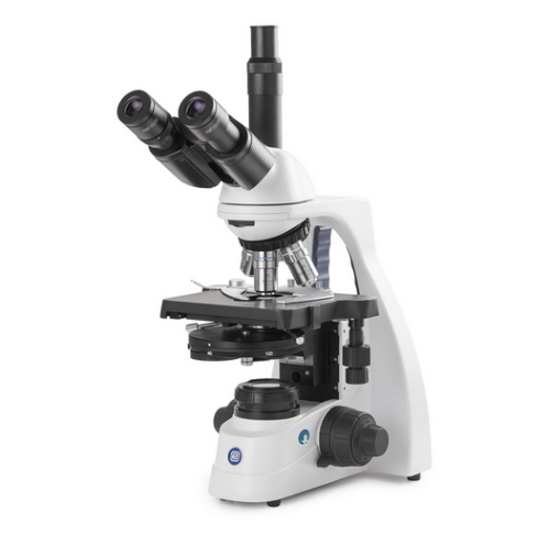 bScope Trinocular Microscope, HWF 10X/20 mm Eyepieces and Quintuple Nosepiece With Plan Phase PLPHI 10/20/S40/S100X Oil Infinity Corrected Objectives, Globe Scientific, EBS-1153-PLPHI