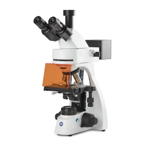 bScope Trinocular Microscope, HWF 10X/20 mm Eyepieces and Quintuple Nosepiece With Plan Phase PLFI 10/20/S40/S100X Oil Infinity Corrected Objectives, Globe Scientific, EBS-3153-PLFI