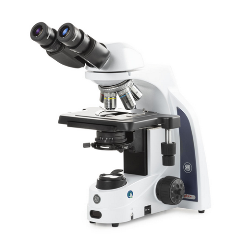 iScope Binocular Microscope With EWF 10X/22 mm Eyepieces, E-Plan EPLI 4/10/S40/S100X Oil IOS Objectives, Globe Scientific, EIS-1152-EPLI