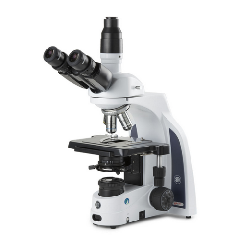 iScope Trinocular Microscope With EWF 10X/22 mm Eyepieces, PLI Plan 4/10/S40/S100X Oil IOS Objectives, Globe Scientific, EIS-1153-PLI