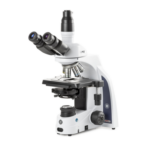 iScope Trinocular Microscope With EWF 10X/22 mm Eyepieces, Plan Phase PLPHI 10/20/S40/S100X Oil IOS Objectives, Globe Scientific, EIS-1153-PLPHI