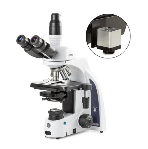 iScope Trinocular Microscope With EWF 10X/22 mm Eyepieces, Plan Phase PLPHI 10/20/S40/S100X Oil IOS Objectives, Globe Scientific, EIS-1153-PLPHI-HDS